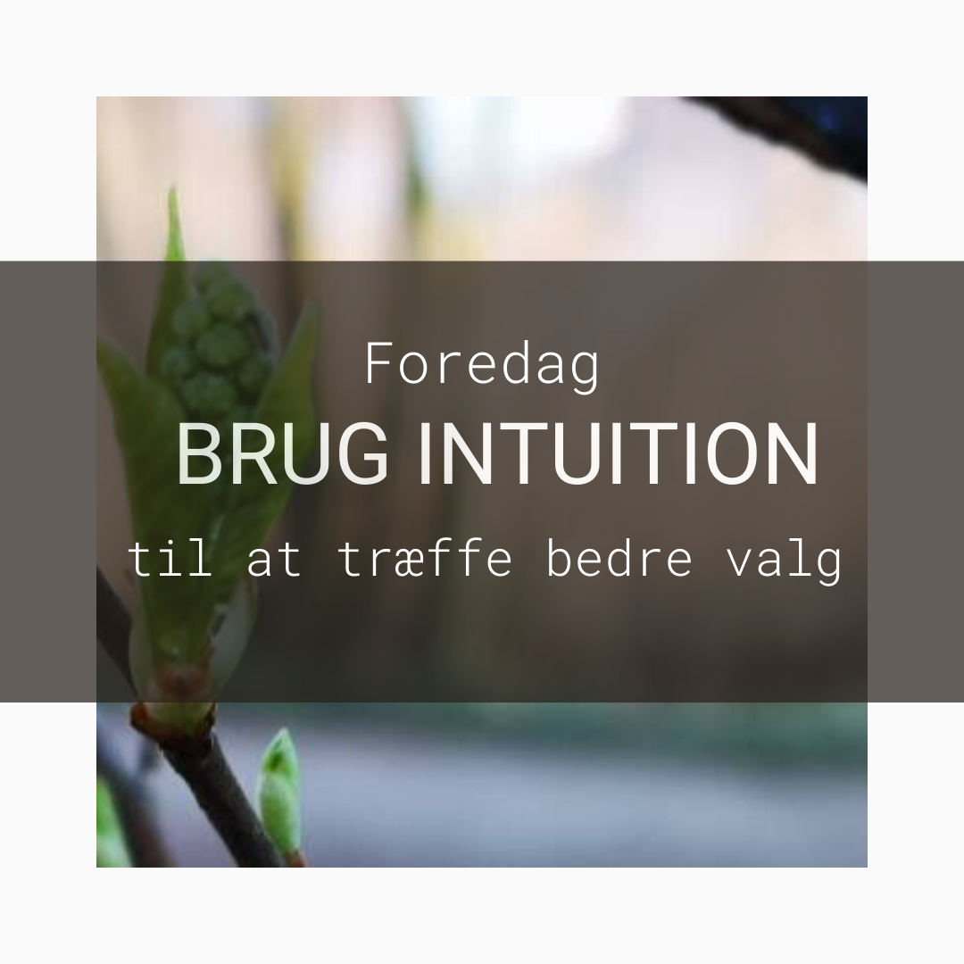 Foredrag